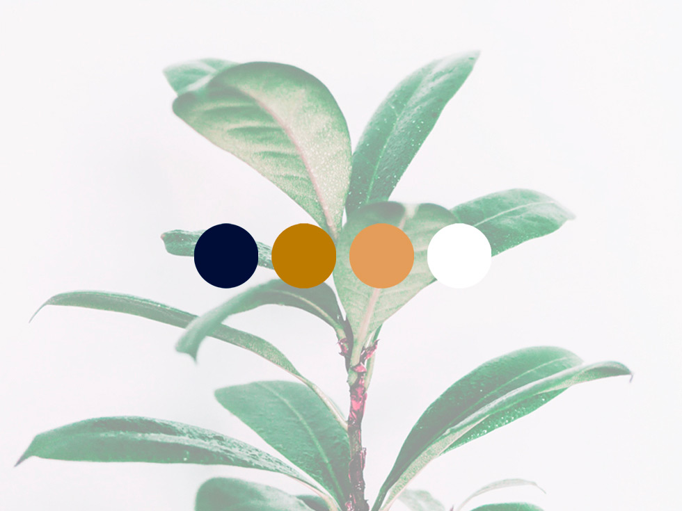 Code Couleur