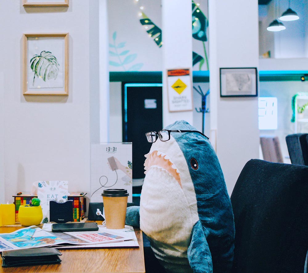 PAOMA Studio